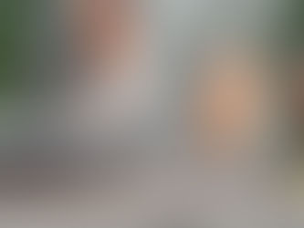 capa carro em chamas cobertura de incêndio