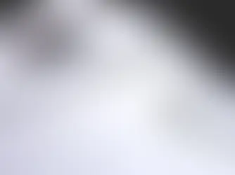 capa papeis de simulação seguro auto