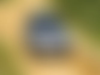 capa carro viajando em estrada rural