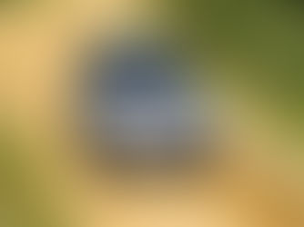 capa carro viajando em estrada rural