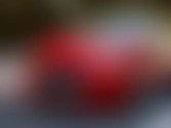 capa carro economico