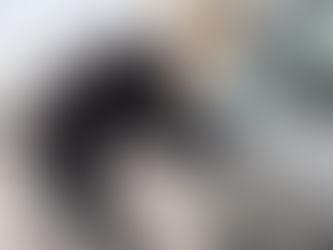 capa carro sendo roubado