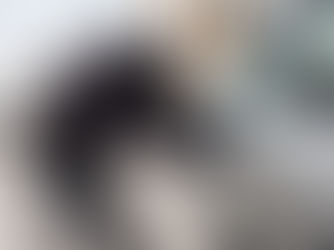 capa carro sendo roubado