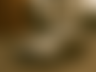 Hyundai HB20 2015 hatch em rua, ilustrando valor Tabela Fipe