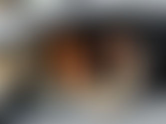 Tipos de seguro veicular: qual o melhor para você?