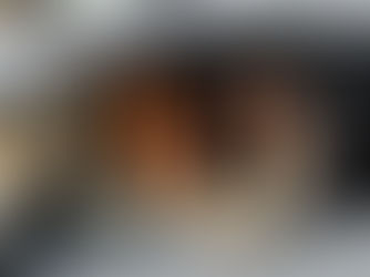 Tipos de seguro veicular: qual o melhor para você?