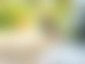 capa assitencia chaveiro carro seguro