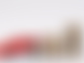 capa carro monte moeda tabela fipe 2023