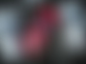 Seguro Auto: qual o melhor? Veja por que a Neo Seguradora se destaca