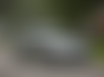 Honda Civic 2014 prata segurado pela Neo Seguradora